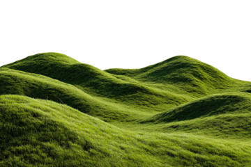 Lush, rolling hills of vibrant green grass