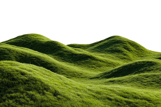 Lush, rolling hills of vibrant green grass