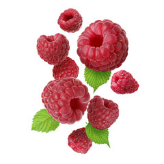 Fresh raspberries and green leaves falling against white background