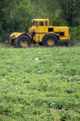 A yellow tractor is standing in a watermelon field