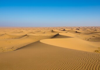 Abstract & Conceptual