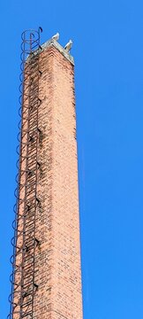 chimney with birds