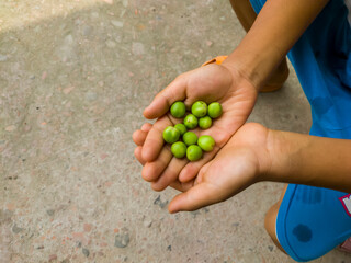 A man holds some small fruit in his hand, and the background is blurred