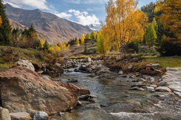 autumnal landscape inside Forni’s Glacier Valley, Santa Caterina Valfurva, Bormio, Sondrio