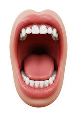 Open mouth with tongue and teeth exposed - realistic 3d anatomy close-up. Cut out PNG