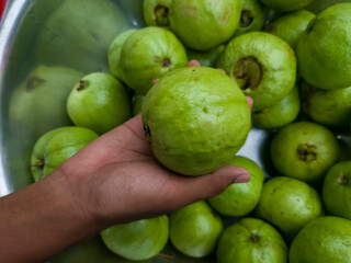 A man holds a guava, and the background is blurred