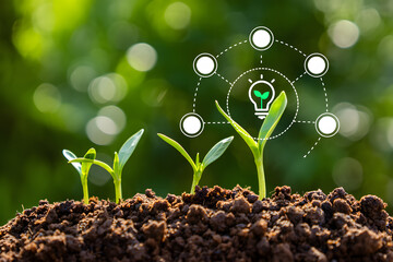 Sustainable Growth A Vision of Eco Friendly Development with Seedlings Growing in Soil Symbolizing Progress and Environmental Responsibility for a Greener Future