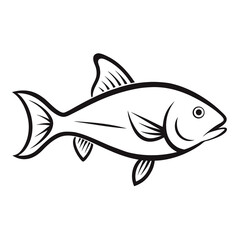 fish on a white background