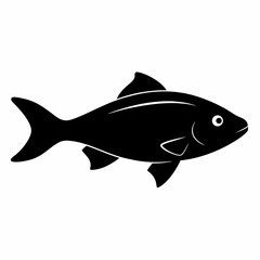 fish isolated on white background