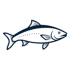 fish isolated on white background