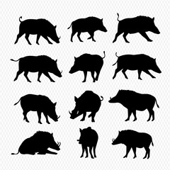 A set of twelve black wild boar silhouettes in various dynamic poses, including walking, standing, and foraging.