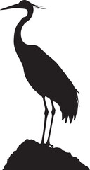 Obraz premium Crane Perching Sitting on a tall surface such as a rock or tree branch with neck slightly curved. full length silhouette black vector illustration