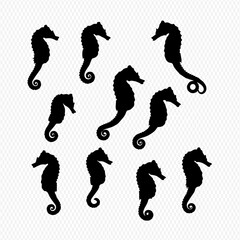 A collection of ten black seahorse silhouettes arranged in various poses on a light grid background.