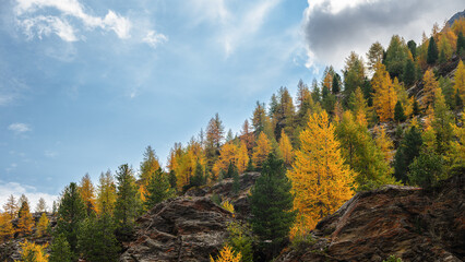 autumnal landscape inside Forni’s Glacier Valley, Santa Caterina Valfurva, Bormio, Sondrio