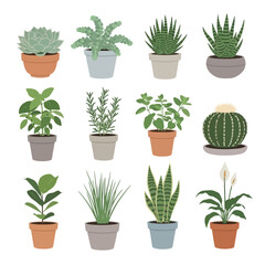 Fototapeta premium Vector art of collection of twelve potted plants and succulents with various green foliage, isolated on white background