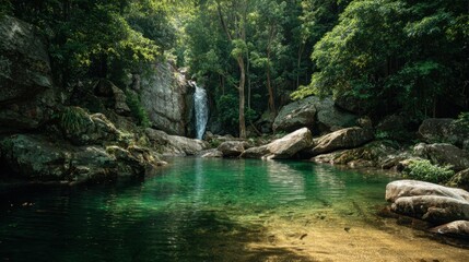 Naklejka premium Serene Forest Scene with Waterfall and Clear Green Pool in Nature