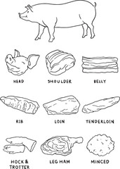 A hand-drawn illustration showing different cuts of pork. This set includes a full pig along with labeled pieces like the shoulder, belly, loin, and more. Ideal for butcher shops, menus, cooking.
