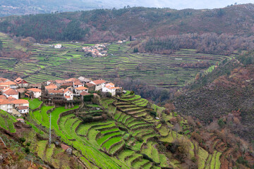 A stunning view of the terraced fields in Sistelo, Portugal, a unique and rural landscape known as...