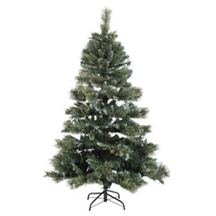 Christmas tree green on white