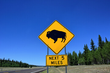 Wildlife Crossing Sign Featuring Buffalo in Rural Utah