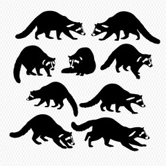 A graphic illustration set of ten black raccoon silhouettes in various dynamic and static poses.