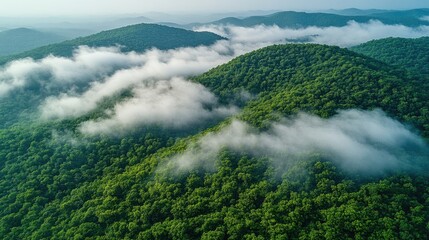 Obraz premium Aerial view of a mountainous landscape with vivid greenery and low-hanging clouds clinging to the slopes