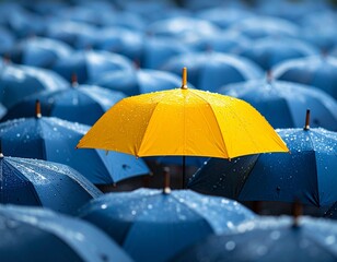 Yellow Umbrella Standing Out in a Crowd of Blue Umbrellas