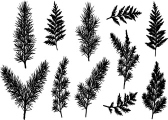 Tree outdoor travel black silhouette coniferous natural badges, tops pine spruce branch cedar and plant leaf abstract stem drawing vector illustration