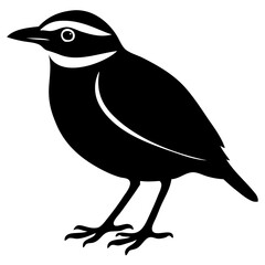 A minimalist black and white vector illustration of a small songbird with a bold eye stripe and a curved wing line. Ideal for use in birdwatching materials, nature-themed art, or modern logo designs.