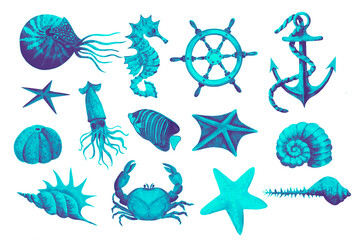 Marine elements and animals, Handmade watercolor, turquoise, sea animals