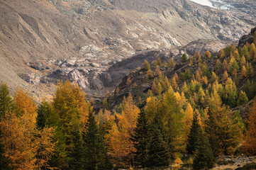 autumnal landscape inside Forni’s Glacier Valley, Santa Caterina Valfurva, Bormio, Sondrio