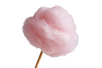 A fluffy pink cotton candy on a stick