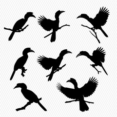 A collection of black hornbill bird silhouettes in various poses, perched on branches or in flight.