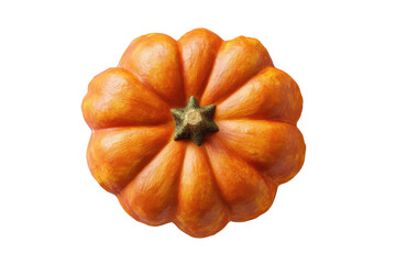 Miniature Pumpkin Top View