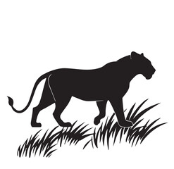 Obraz premium Silhouette of a Lion Stalking Through Grass in the Savannah