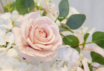 view of a pale pink flower with green leaf on a white petal structure