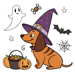 Spooky Fun colored Dachshund with a Relaxed touch, placed in a Halloween theme and styled with with a stuffed animal