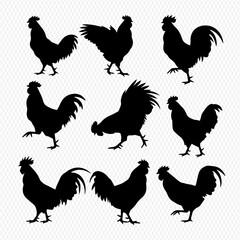 A collection of nine black rooster silhouettes in various dynamic poses on a transparent background.