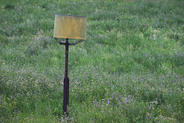 Weathered irrigation sprinkler in alpine wildflower meadow