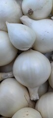 White Onion Variety Showcases Fresh Harvest in Close-Up Display From Local Farm During Peak Season
