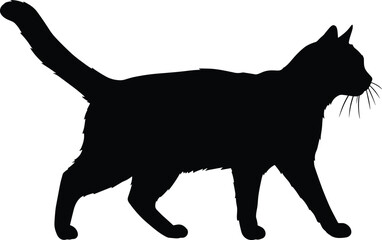 Black cat silhouette with whiskers, walking feline side view, vector pet profile, isolated animal graphic, domestic cat shape icon design
