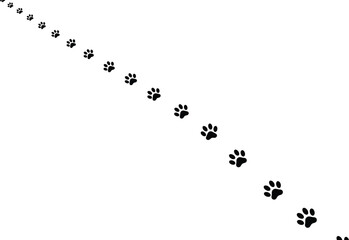 Dog paw prints in walking trail pattern, small to large footprints on white background, pet track design, isolated vector illustration