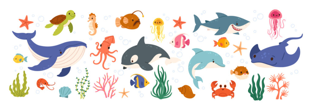 Underwater animal. Sea and ocean fish. Cartoon cute marine water fish, octopus, whale, shark, crab, jellyfish, turtle, seahorse, coral, algae. Underwater wildlife. Vector set