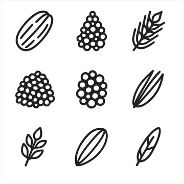 Icons farro millet bulgur oats brown grain quinoa rice rye whole vector