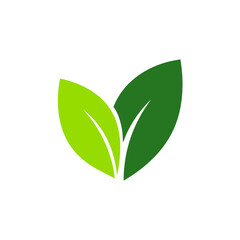 Two green leaves representing organic growth and natural health for environmentally conscious brands and sustainable initiatives worldwide