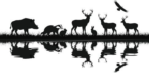 Wild animal silhouette scene with water reflection, deer, wild boar, anteater, eagle, rabbit, black vector illustration, forest wildlife art
