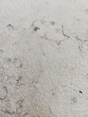 Creative background from a piece of white marble slab
