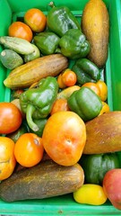 fresh vegetables on the market