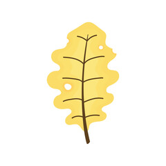 Yellow oak leaf. Autumn leaves