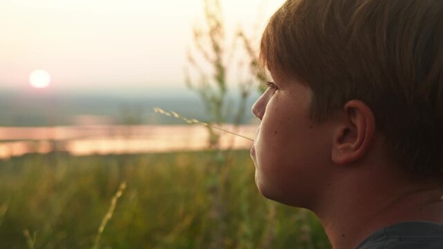 Cute teenage boy with red hair and freckles sits in field with tall grass in summer, thoughtfully looking towards sunset, holding blade of grass between his teeth. Portrait.